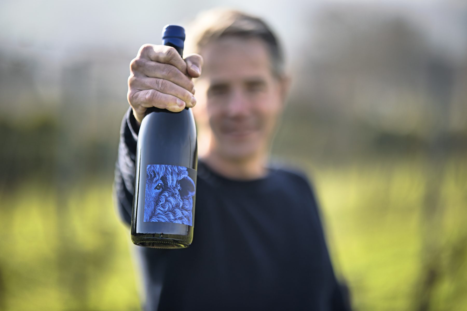 Axel Gesser hält im Weinberg eine Flasche Das Blaue Schaf Pinot Noir in die Kamera